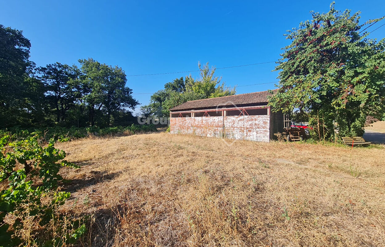 terrain  pièces 591 m2 à vendre à Sainte-Cécile-les-Vignes (84290)