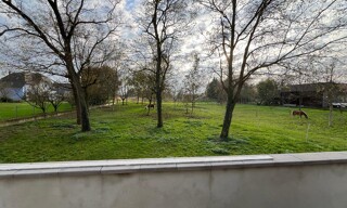 Photo N° 5