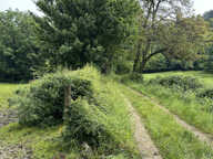 A VENDRE EN EXCLUSIVITE AU COEUR DU VILLAGE DE CHALLES LA MO — photo 3