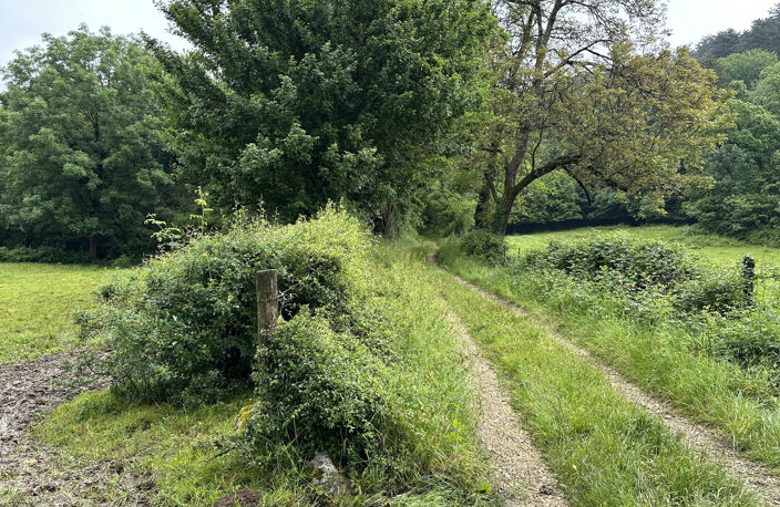 A VENDRE EN EXCLUSIVITE AU COEUR DU VILLAGE DE CHALLES LA MO — photo 3