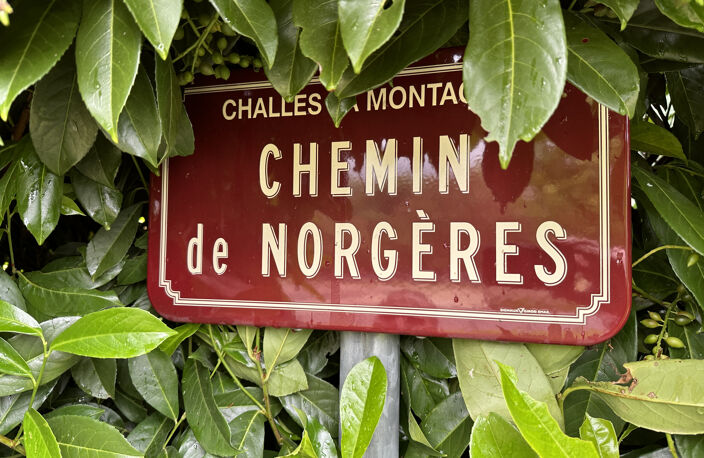 A VENDRE EN EXCLUSIVITE AU COEUR DU VILLAGE DE CHALLES LA MO — photo 5