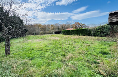 vente terrain 450 000 € à proximité de Saint-Martin-en-Haut (69850)