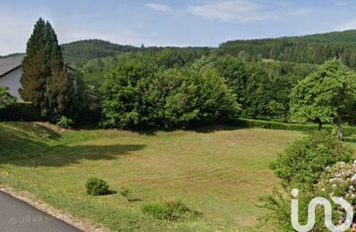 vente terrain 33 000 € à proximité de Granges-Aumontzey (88640)