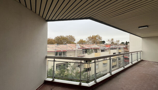 Appartement 3 pièces  à louer Montpellier 34000