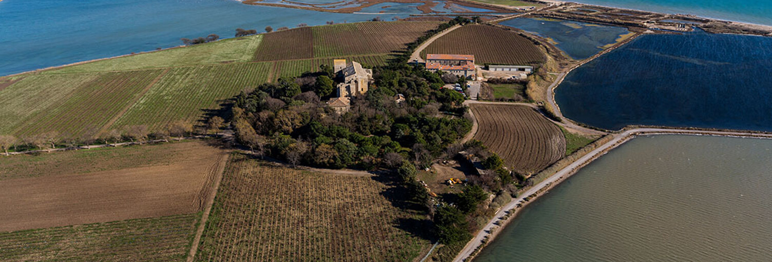 Local industriel  665 m² à vendre à Villeneuve-lès-Maguelone (34750)