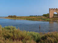 Terrain - 1185 — photo 2