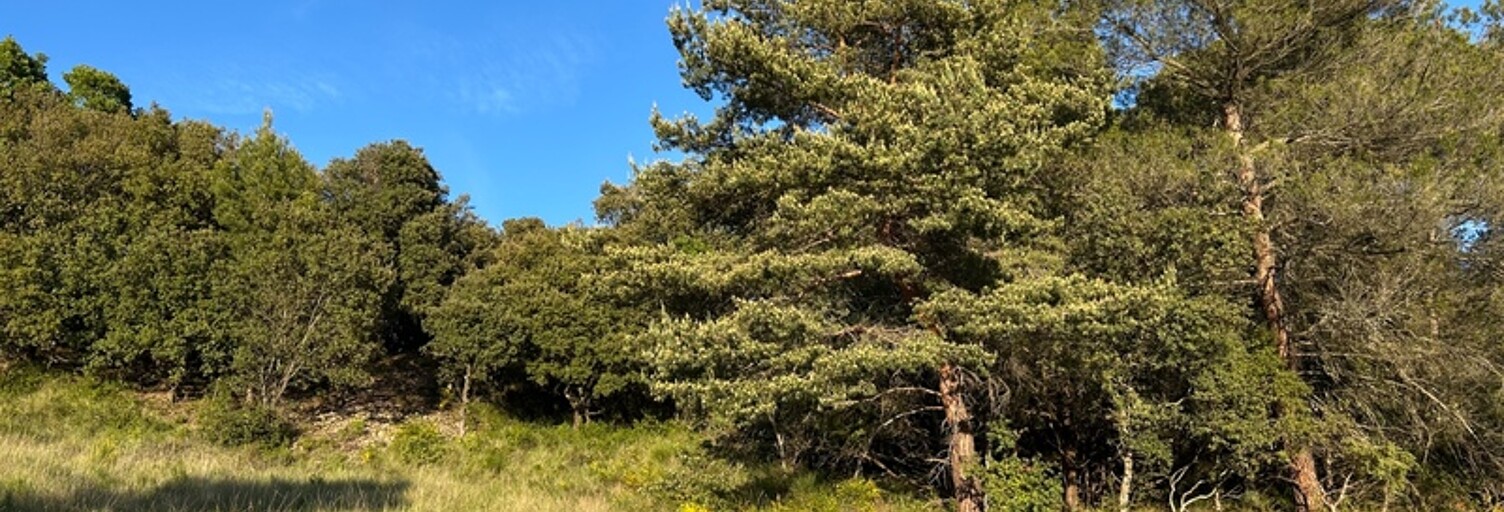 Terrain  2610 m² à vendre à Baudinard-sur-Verdon (83630)