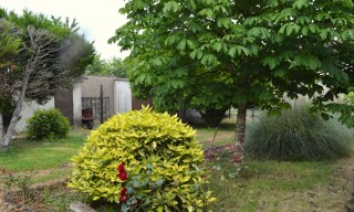 Photo N° 2
