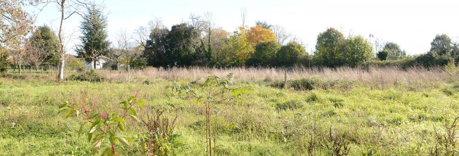 Terrain  1398 m² à vendre à Béguey (33410)