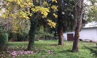 Photo N° 4
