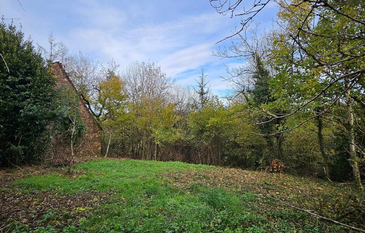 terrain  pièces 1415 m2 à vendre à Saint-Bonnet-Elvert (19380)