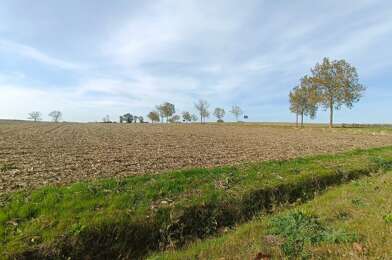 Terrain  161250 €