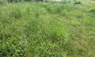 Terrain  454 m² à vendre à Nazelles-Négron (37530)