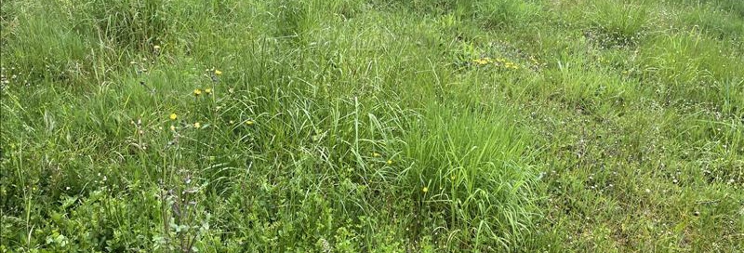 Terrain  454 m² à vendre à Nazelles-Négron (37530)