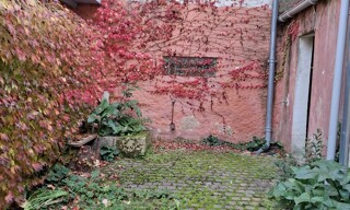 Photo N° 8