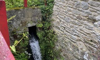 Photo N° 4