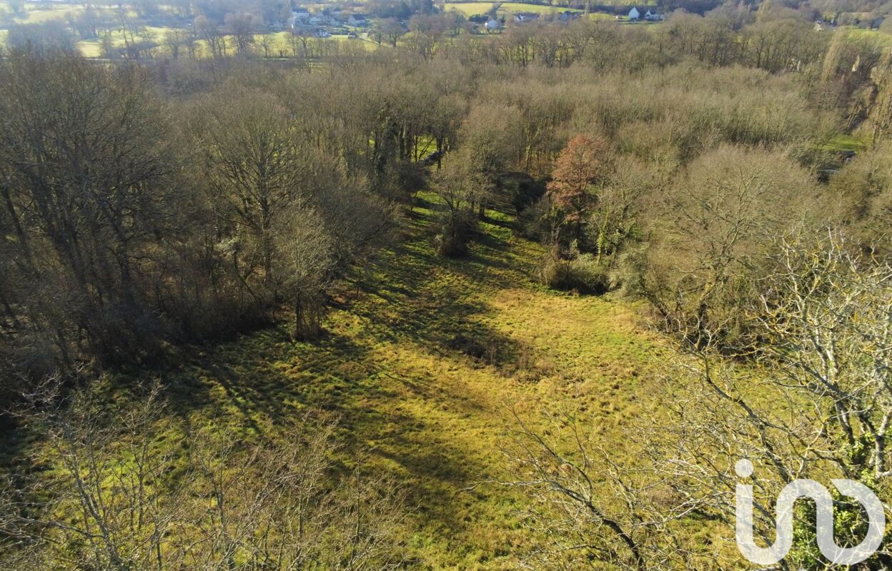 terrain  pièces 7051 m2 à vendre à Le Pêchereau (36200)