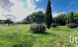 Photo N° 6