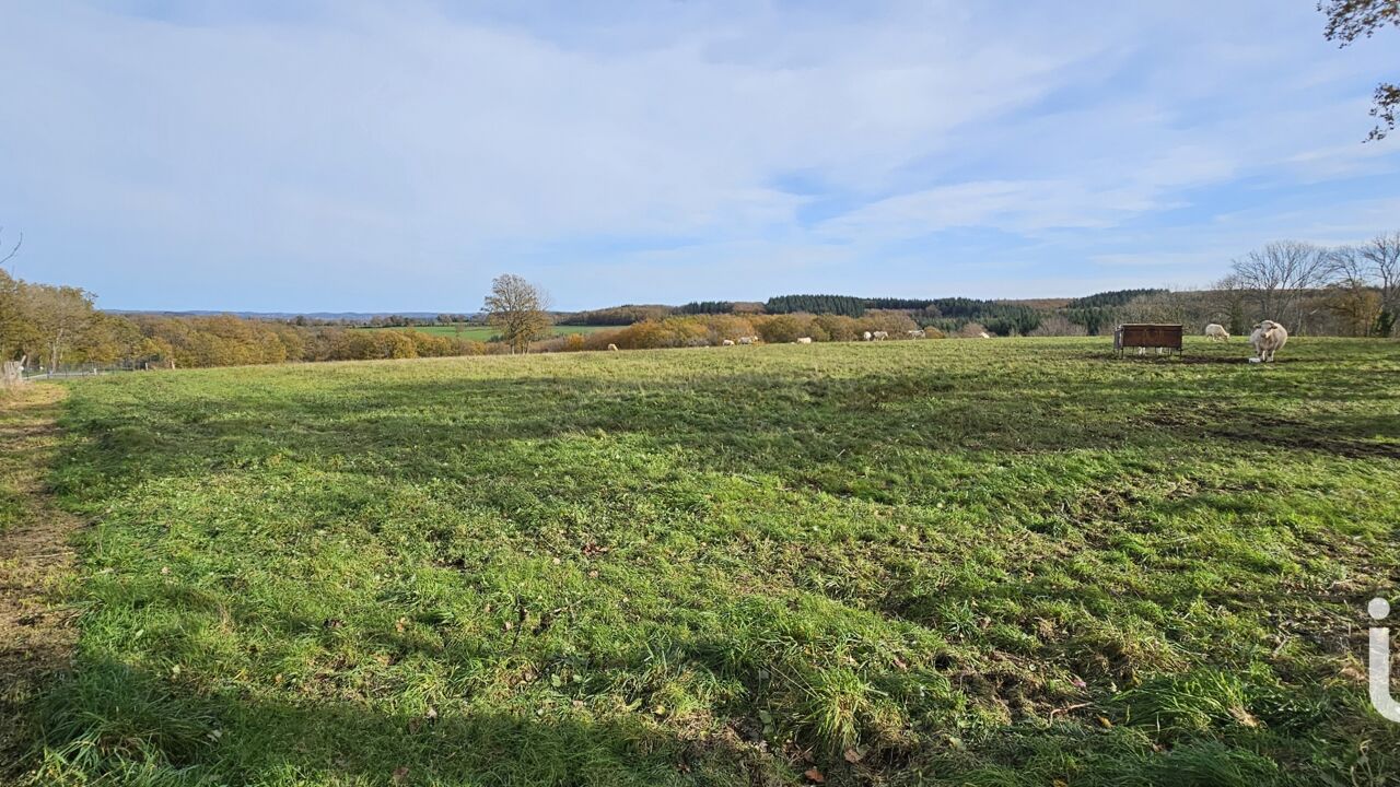 terrain  pièces 2500 m2 à vendre à Saint-Michel-de-Veisse (23480)