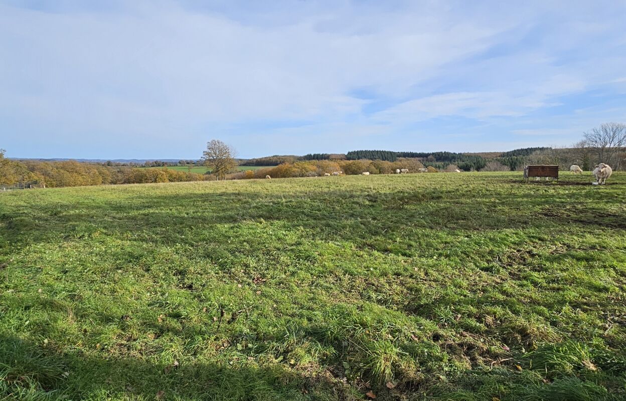 terrain  pièces 2500 m2 à vendre à Saint-Michel-de-Veisse (23480)