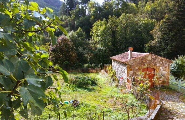 Maison de campagne — photo 4