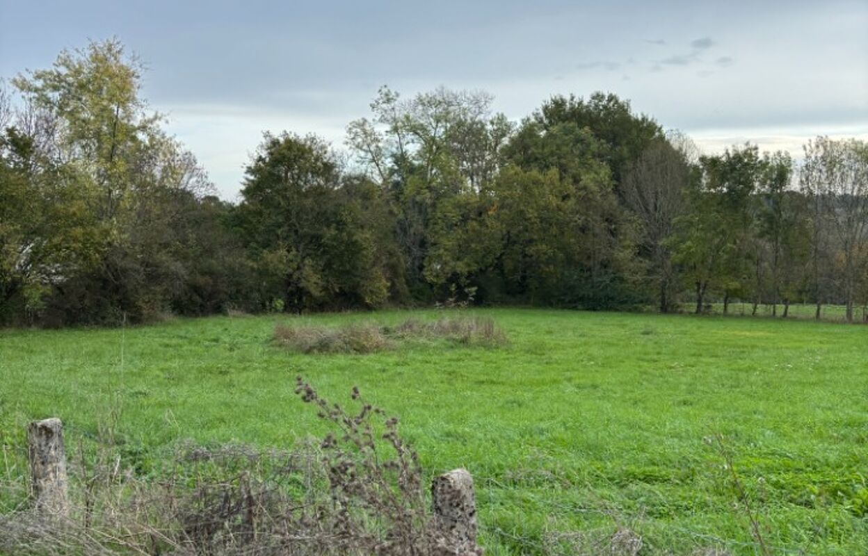 terrain  pièces 3000 m2 à vendre à Gageac-Et-Rouillac (24240)