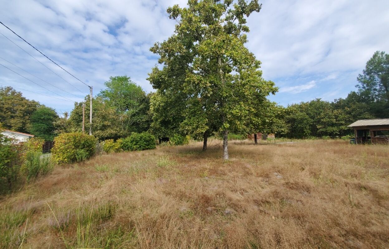 terrain  pièces 559 m2 à vendre à Salles (33770)