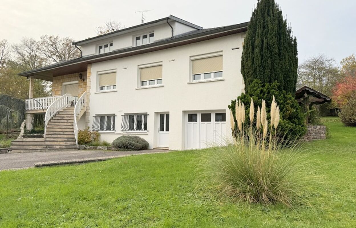 maison 9 pièces 230 m2 à vendre à Damelevières (54360)