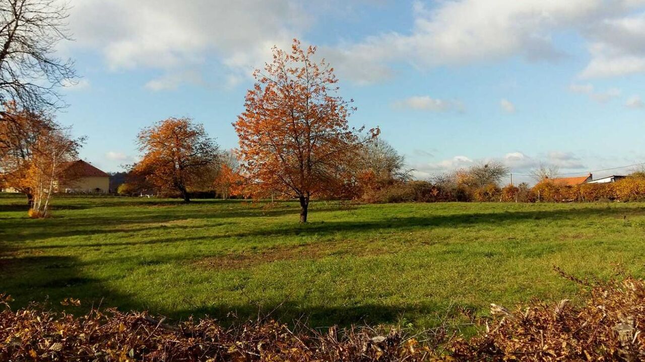 terrain  pièces 1200 m2 à vendre à Sanvignes-les-Mines (71410)