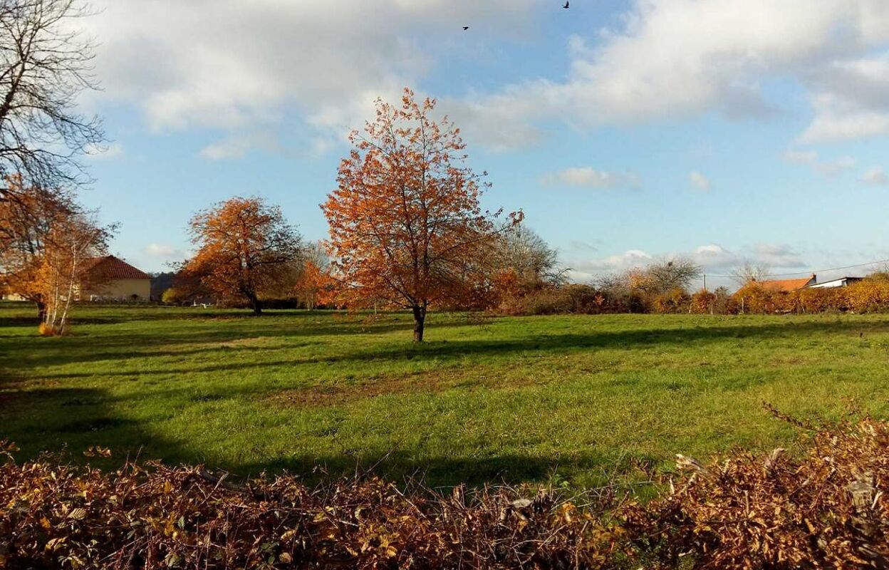 terrain  pièces 1200 m2 à vendre à Sanvignes-les-Mines (71410)