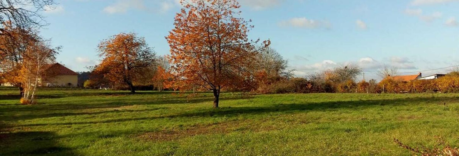 Terrain  1200 m² à vendre à Sanvignes-les-Mines (71410)