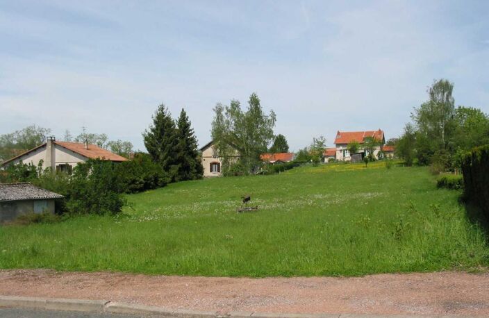 TERRAIN À BÂTIR – 2 704 M² à MONTCEAU-LES-MINES — photo 2