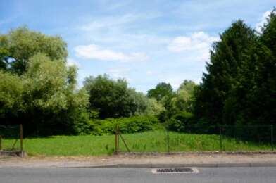 Terrain  20000 €