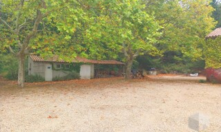 Photo N° 8