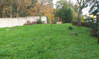 Photo N° 6