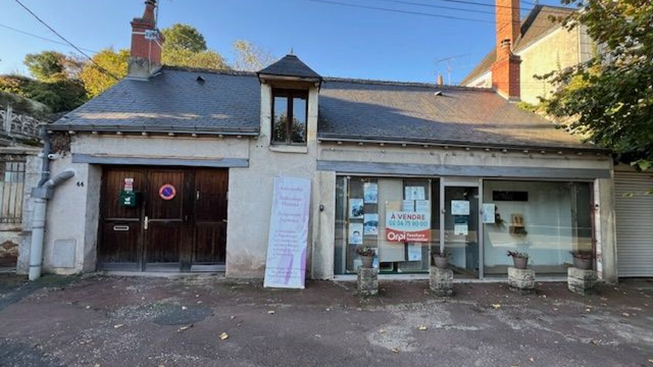 immeuble  pièces 250 m2 à vendre à Saint-Aignan (41110)