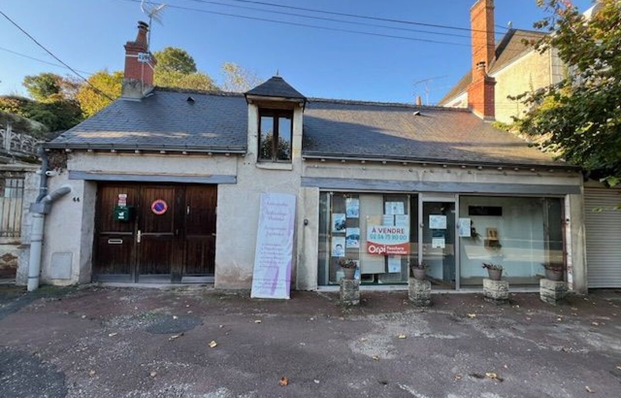 immeuble  pièces 250 m2 à vendre à Saint-Aignan (41110)