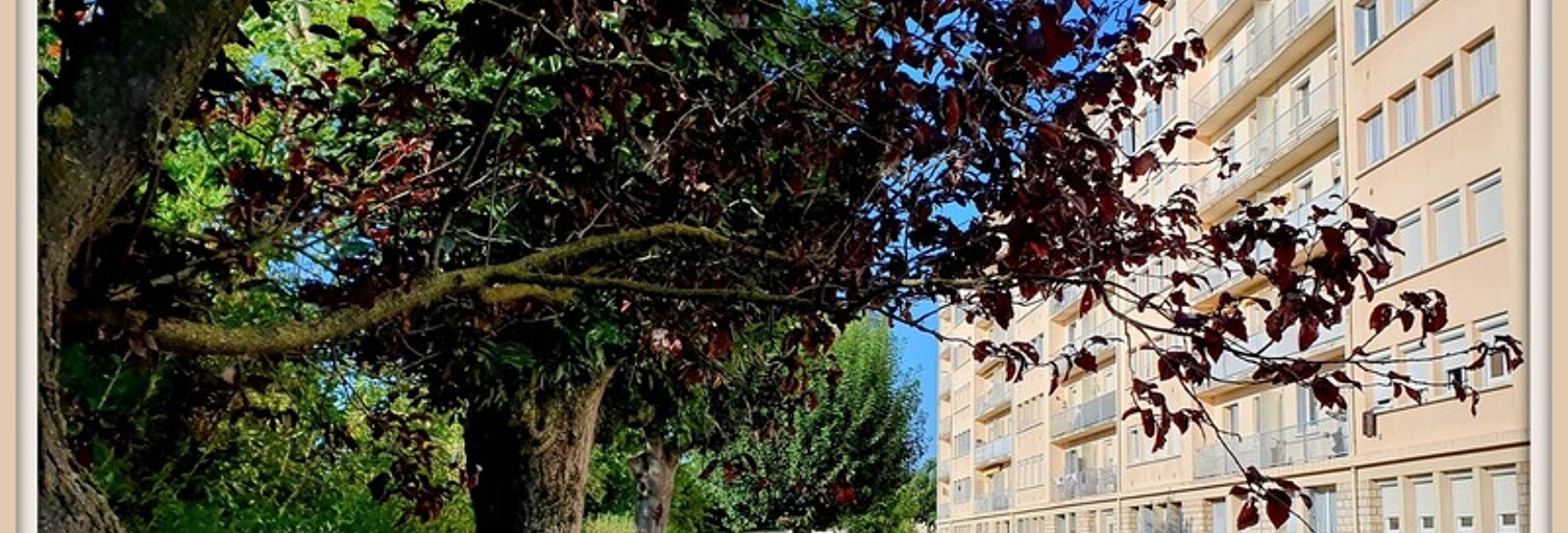 Appartement 3 Pièces 61 m² à vendre à La Chapelle-Saint-Luc (10600)