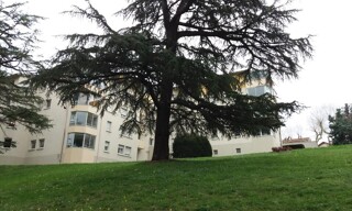 Photo N° 4