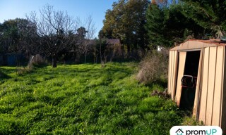 Photo N° 5