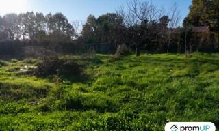 Photo N° 6