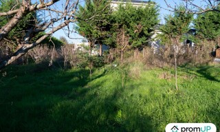 Photo N° 9