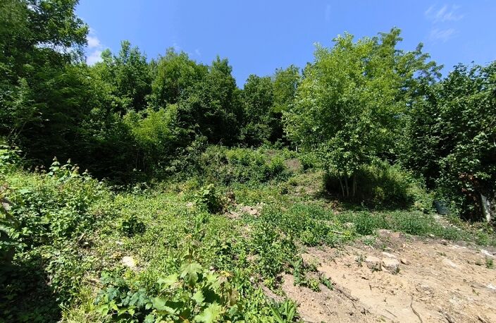 Vente terrain  2561 m² Nesles-la-Vallée (95690) — photo 2