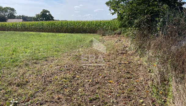Terrain  à vendre Artigueloutan 64420