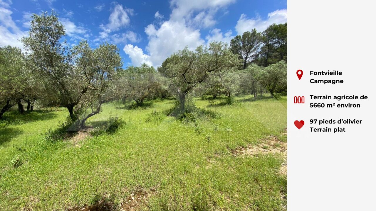 terrain  pièces 5660 m2 à vendre à Fontvieille (13990)