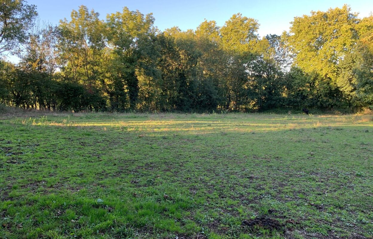 terrain  pièces 2300 m2 à vendre à Montredon-Labessonnié (81360)