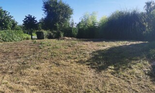 Photo N° 4
