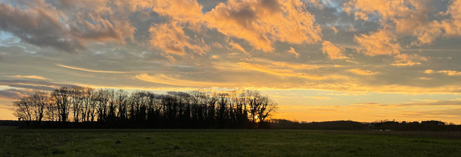 Terrain  787 m² à vendre à Ligugé (86240)