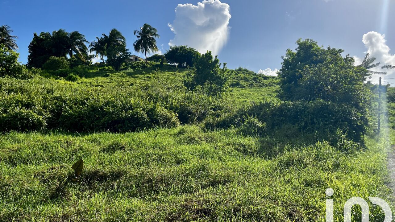 terrain  pièces 566 m2 à vendre à Le Lamentin (97232)