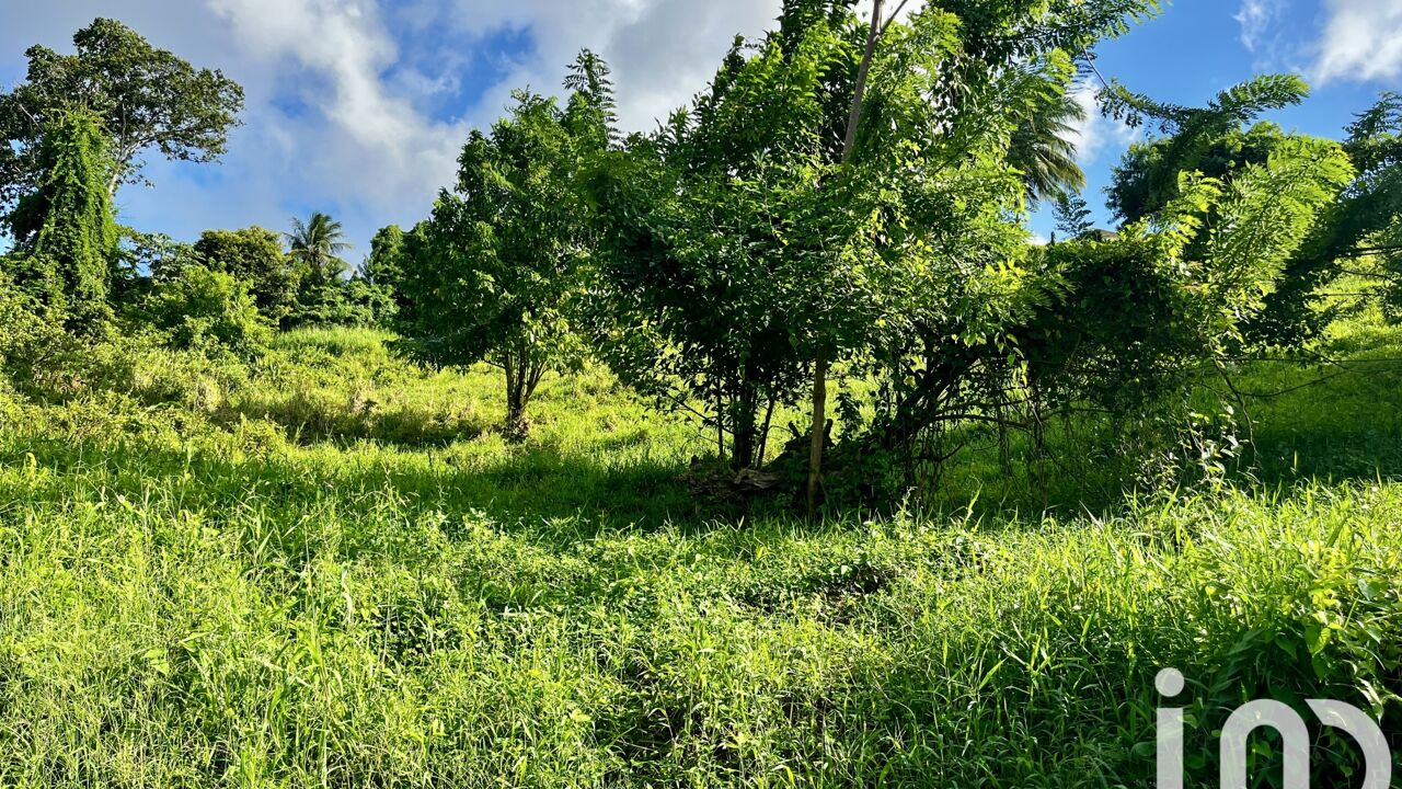 terrain  pièces 480 m2 à vendre à Le Lamentin (97232)